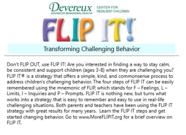 Flip it: Transforming Challenging Behavior [Book]