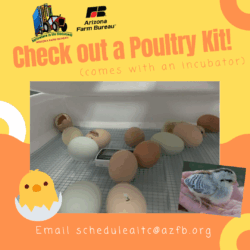 Resource Image
